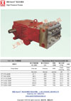 P71 R不锈钢系列(70~250L/min,~400bar)